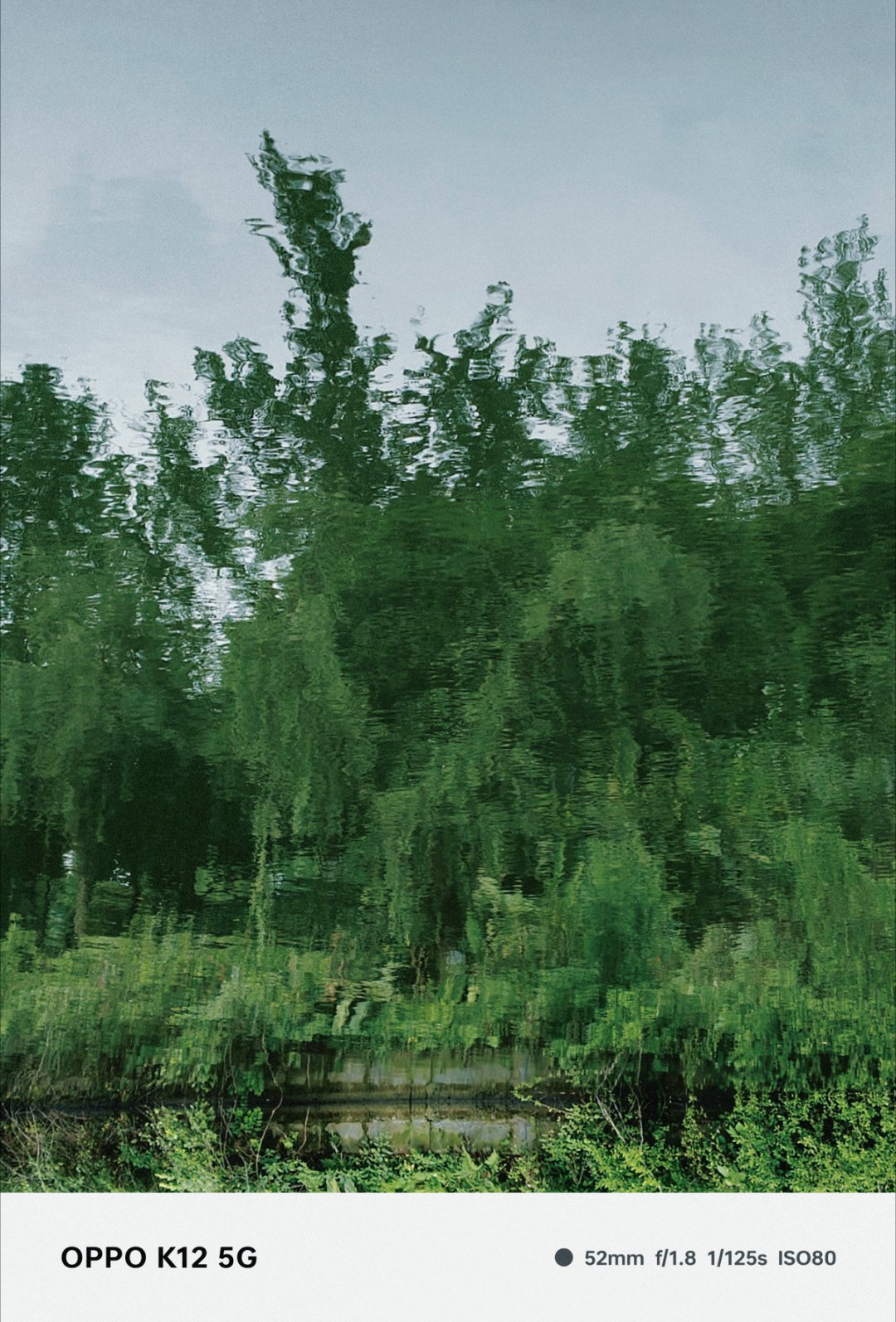 自然之境，宁静的绿色倒影#盛夏光年# ​​​