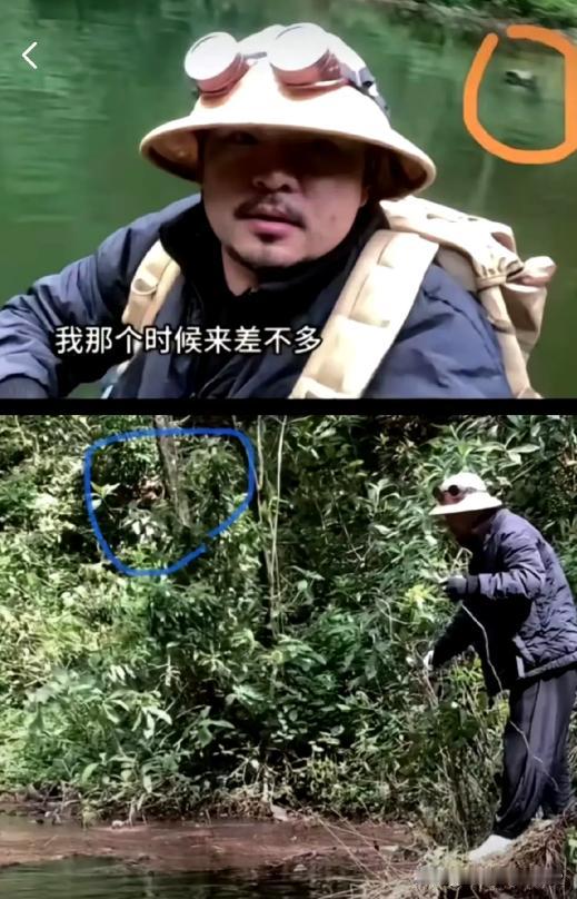 这大蟒蛇是真是假？网友吵翻天，探险博主独闯哀牢山的视频火了！

最近网上流传一段