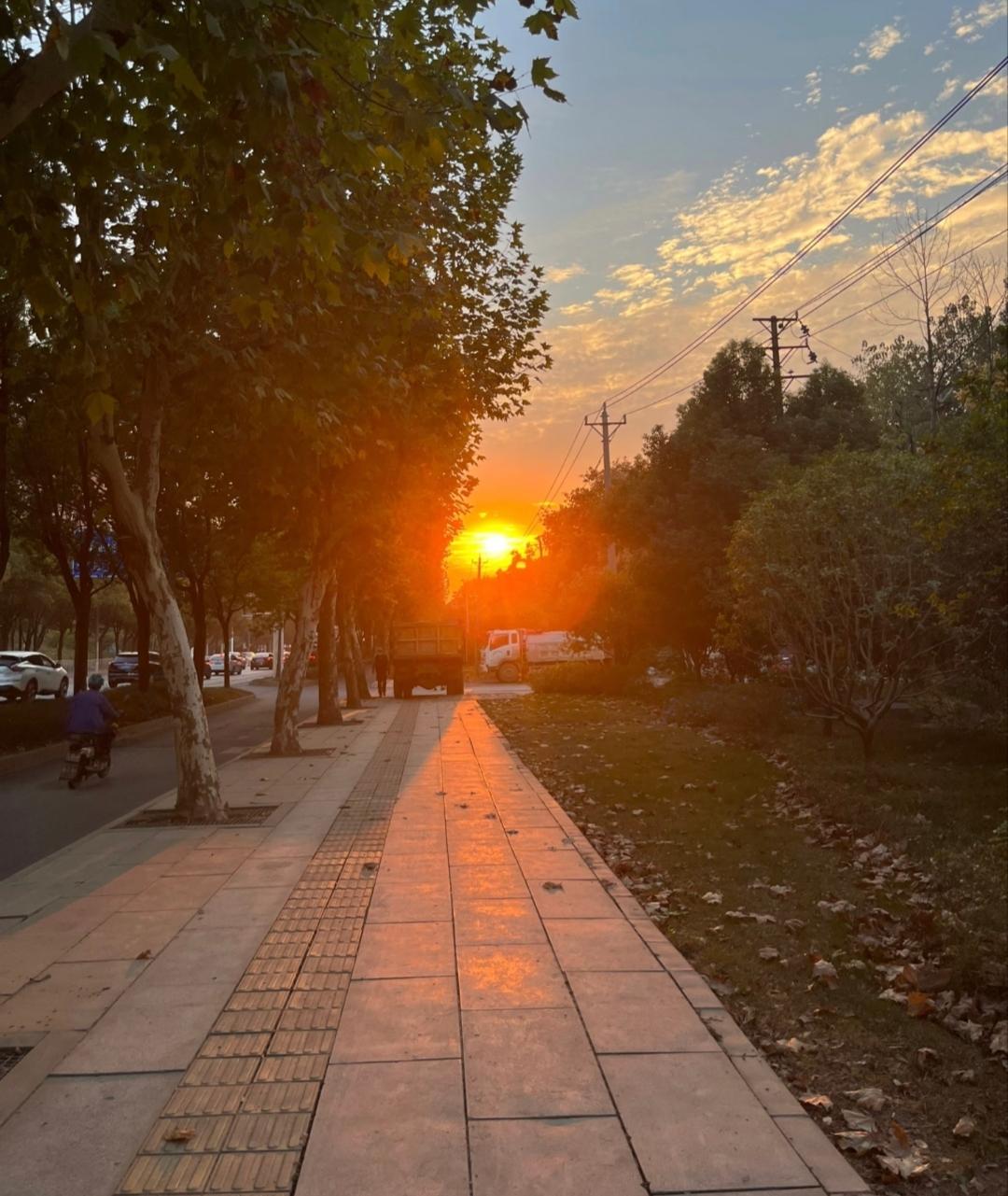 希望楼下的玉兰花在今年开得更旺些，
下班路上能撞见几场好看的晚霞。
盼着许久没联