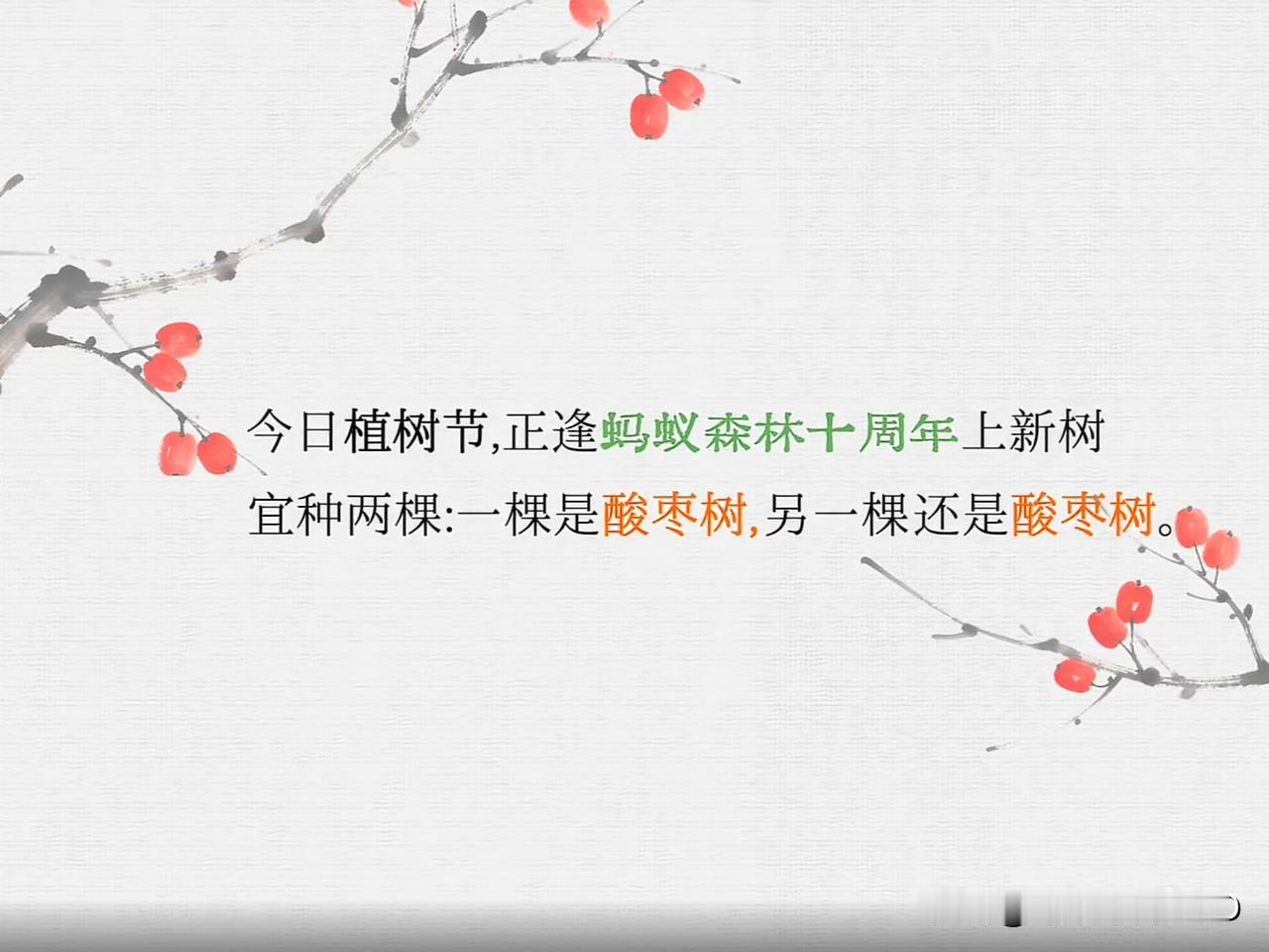 逢蚂蚁森林10周年上新树！
满怀欢喜种下两棵酸枣树...
一棵予你，一棵送给自己