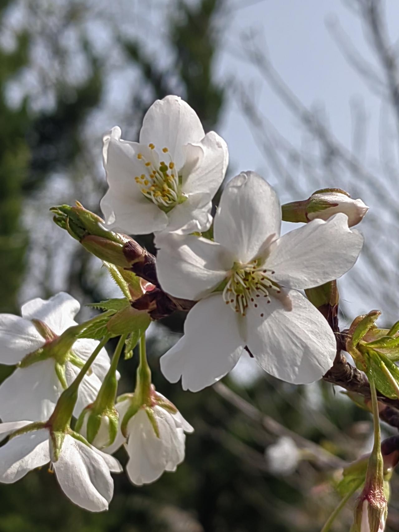 张雪峰不幸猝死，病发前正在跑步锻炼，这下让“葛优瘫”长寿之说找到了证据。
动与静