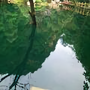 不惑之年的数学