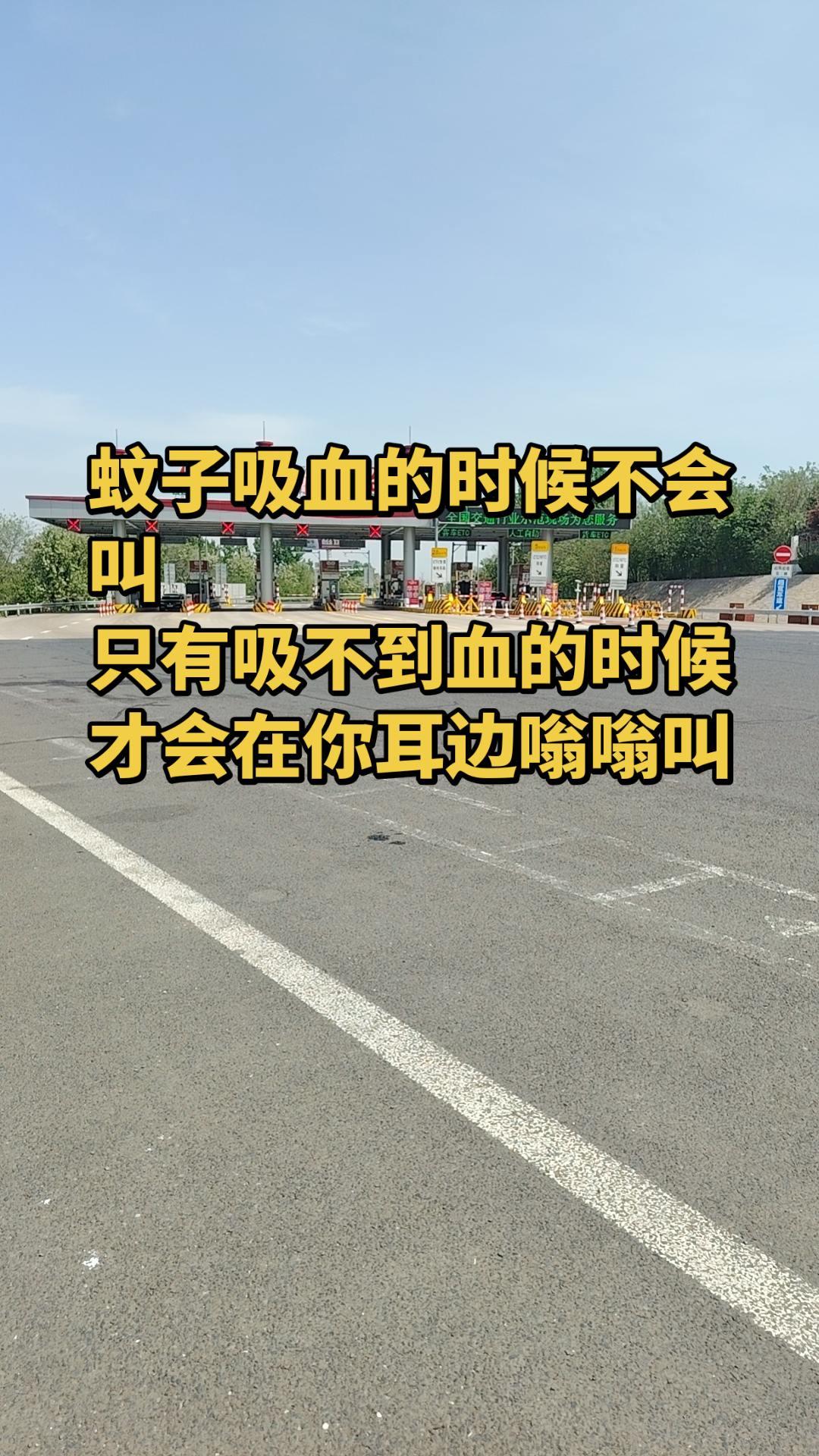 蚊子吸血的时候不会叫，只有吸不到血的时候才会在你耳边嗡嗡叫。奋斗 正能量 社会百