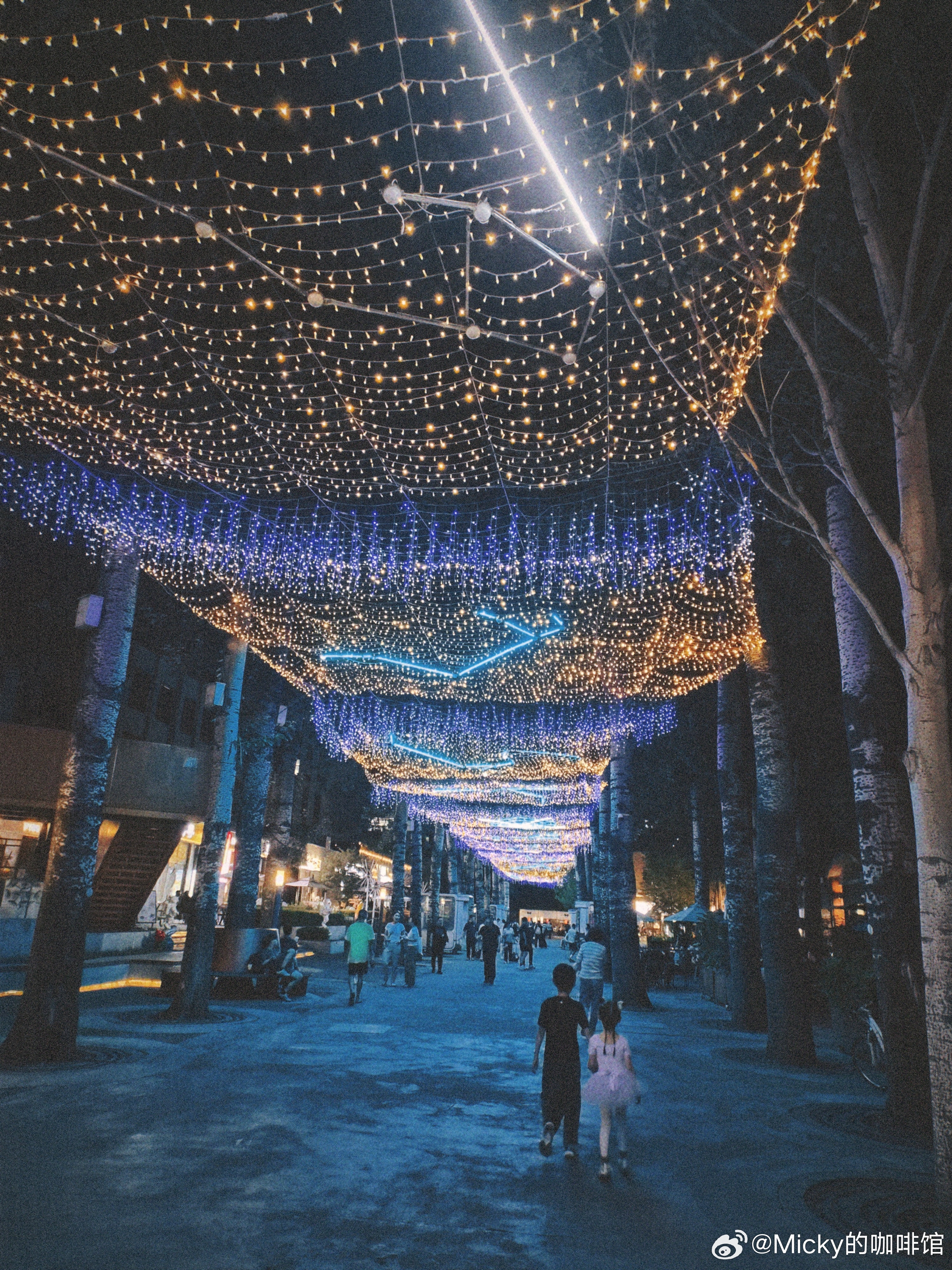 一些可爱的遇见和经历（づ￣3￣）づ╭❤～ 