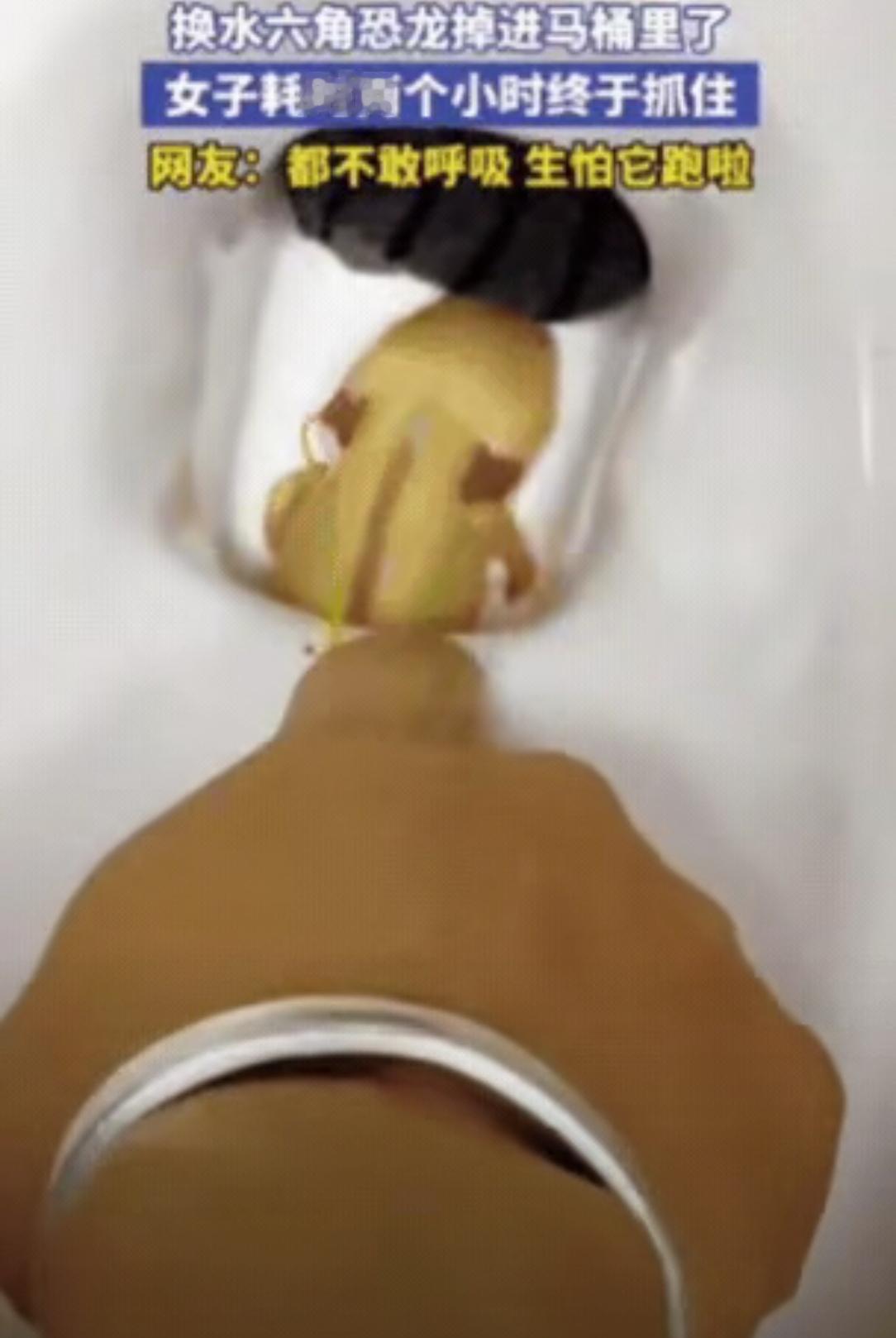 不忍直视！吉林一女子上完厕所，直接将手伸进马桶，一扣就是2小时，原来，她上完厕所