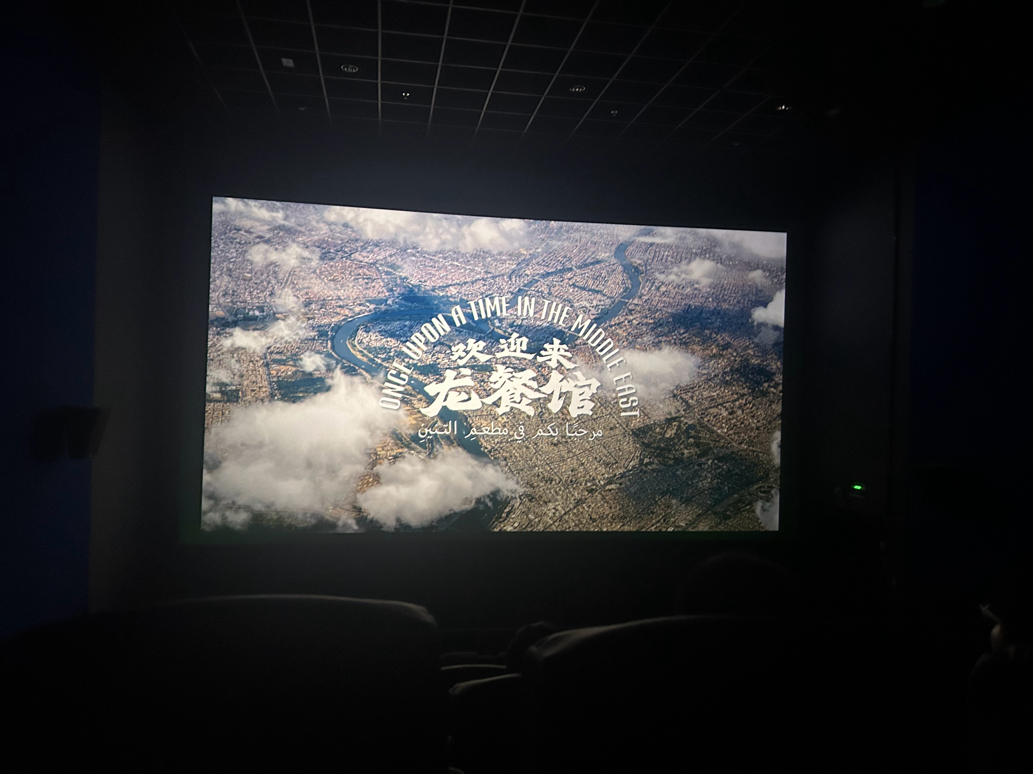 看了《欢迎来龙餐馆》开头带着点沈腾的喜剧 看着挺轻松 后半段直接切入战争戏份 画