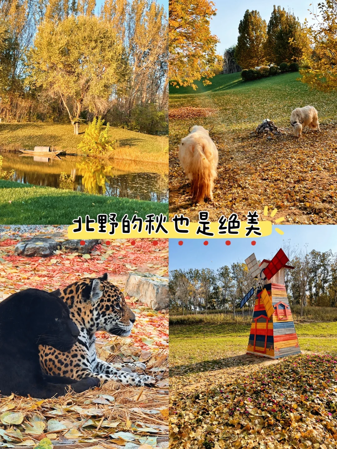 北京出发1小时|解锁固安遛娃新姿势