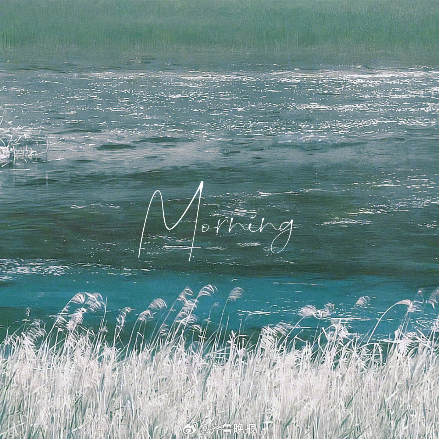 晨起有清风日子有温柔#早安#