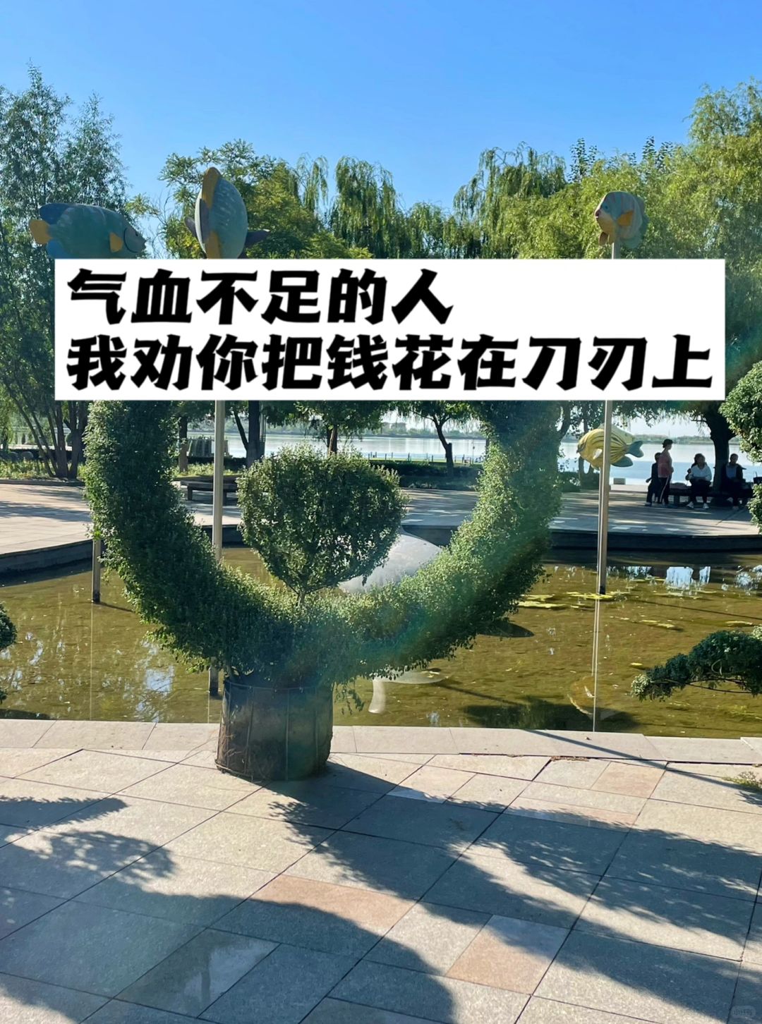 气血不足的人，我劝你把钱花在刀刃上.