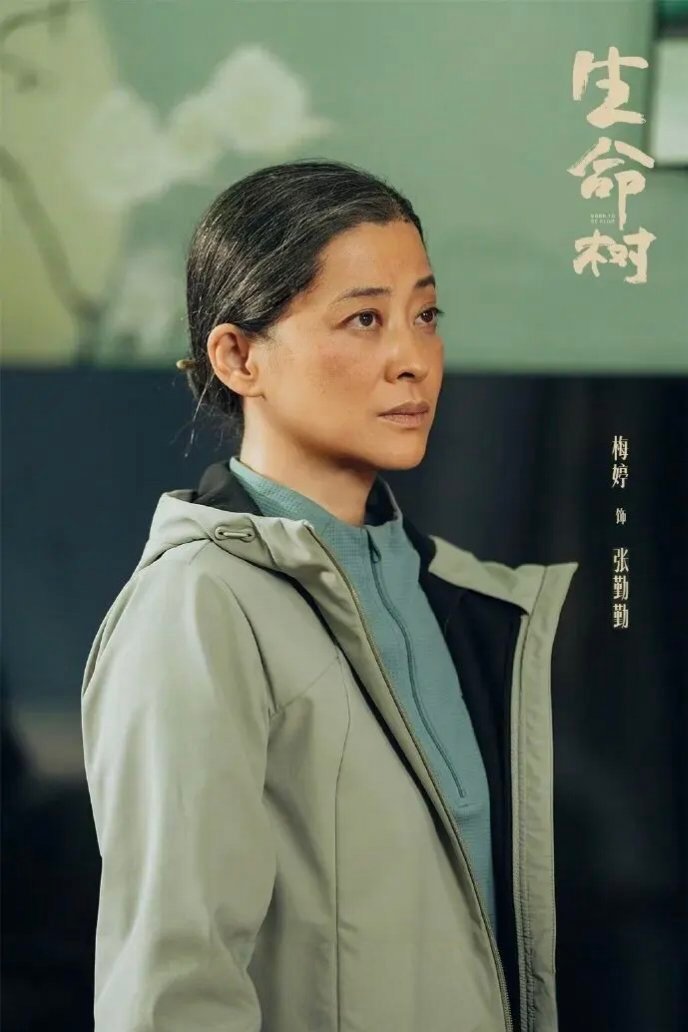 第33届金鹰奖：宋佳获最佳女主角，于和伟获最佳男主角，朱亚文获最佳男配，梅婷获最