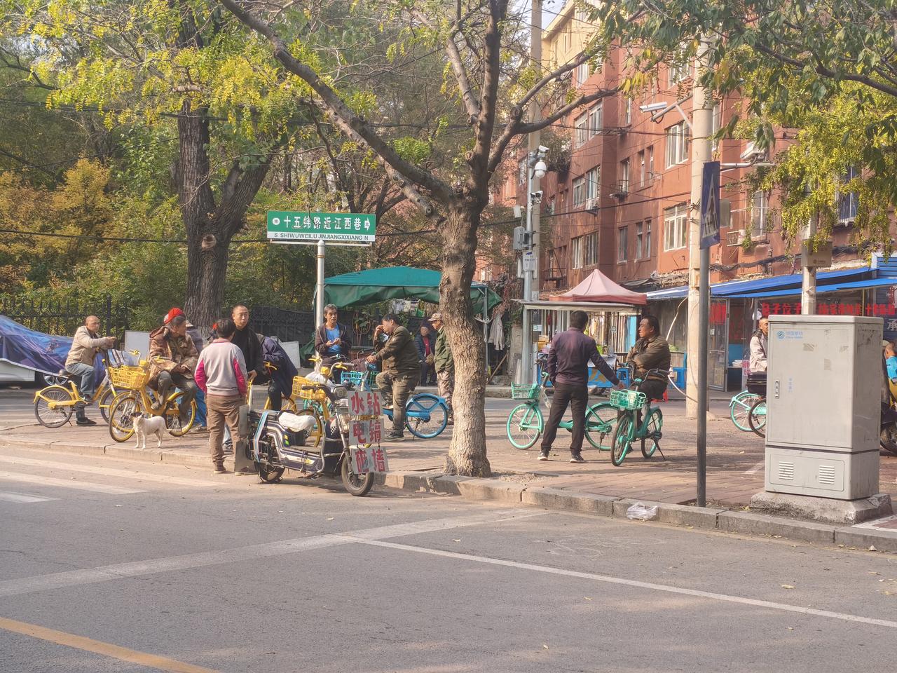 沈阳十五纬路近江西巷路口，鲁园务工的师傅们，把共享单车当成了临时座椅。
秋日的大