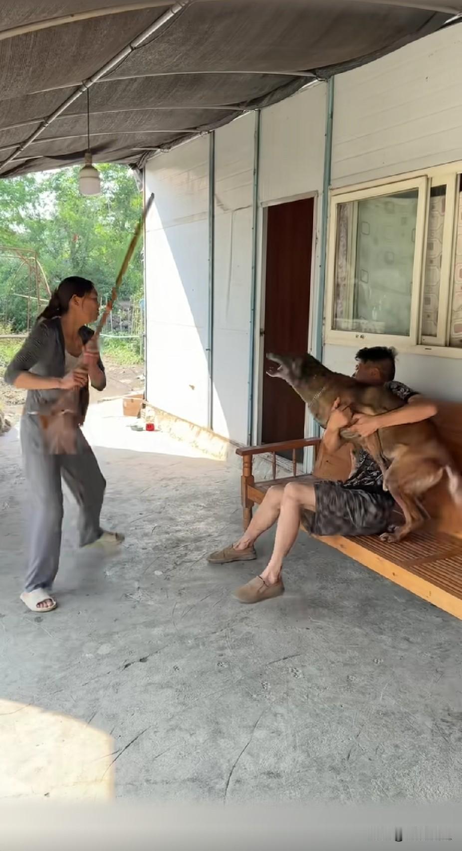 一对夫妻假装打架，妻子抄起一把扫把追着丈夫打。狗狗见状，立刻冲过去，一口咬掉她手