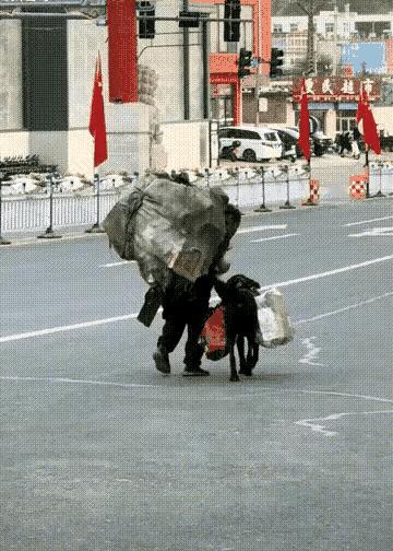 多么和谐温馨的背影！
一个老人，靠着捡废品维持生活。他经常带着一条狗狗，穿梭在每