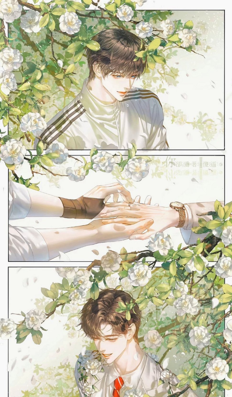 简隋英｜简隋英0812生日快乐 在夏与秋的路口 将热情化为赤诚热爱 