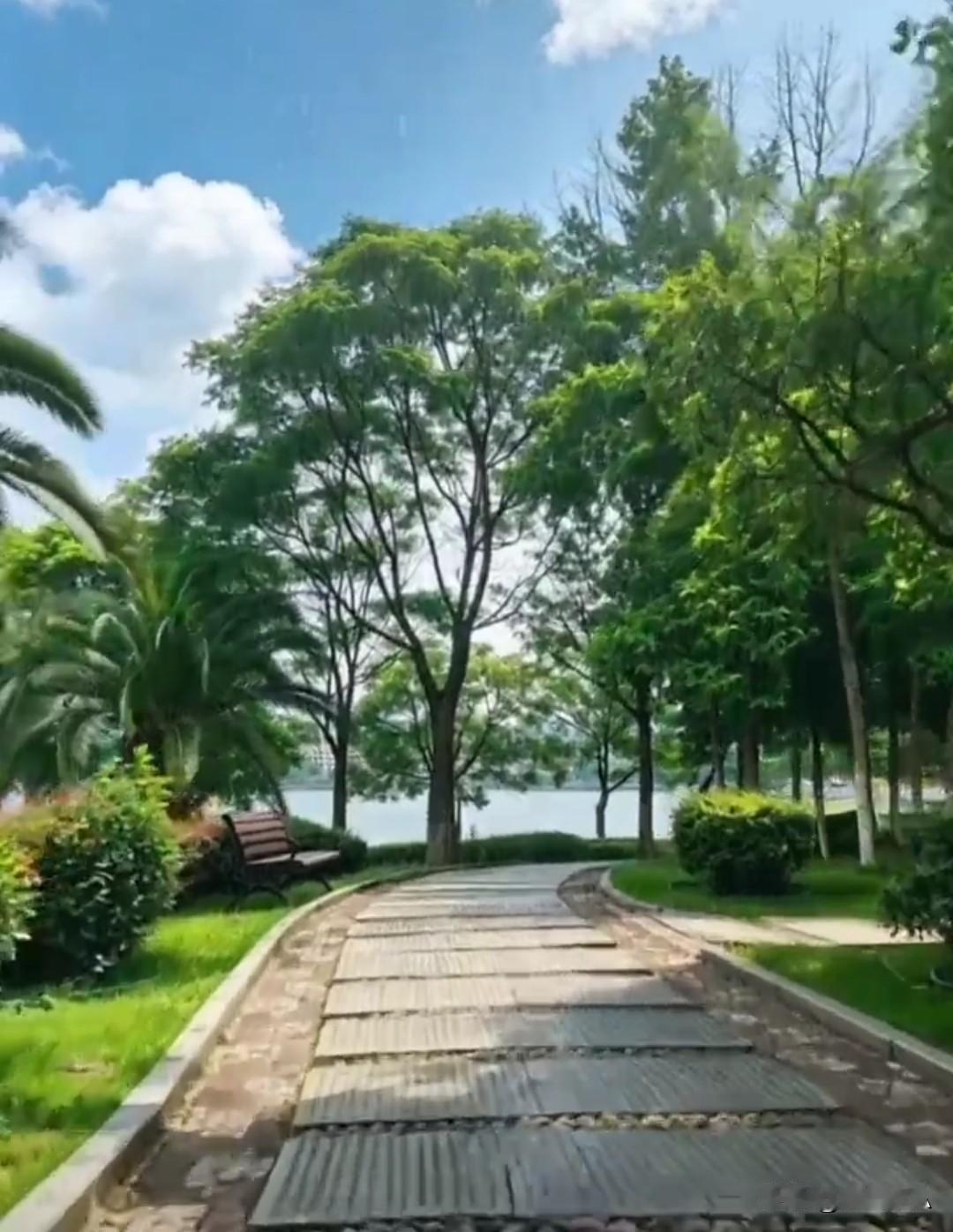 蜿蜒的羊肠小道隐于浓荫之间，枝叶交错遮去骄阳，步步皆是清新绿意。穿行其间，清风裹
