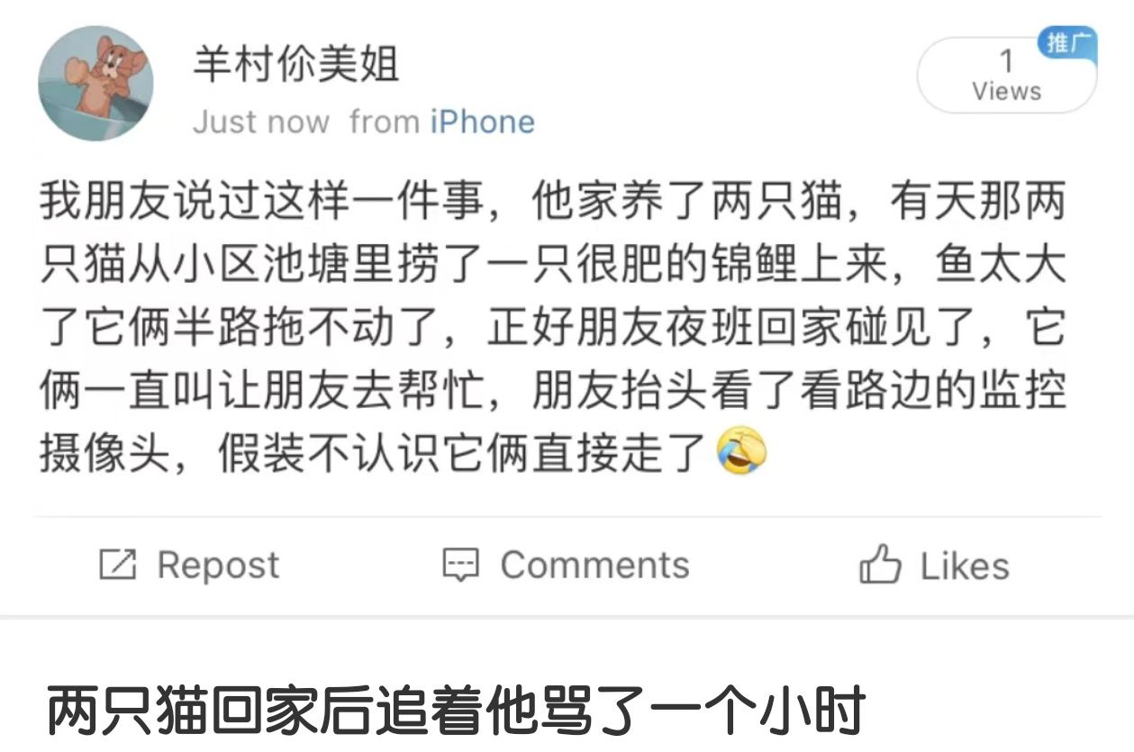伤了养家糊口的猫猫的心 ​​​