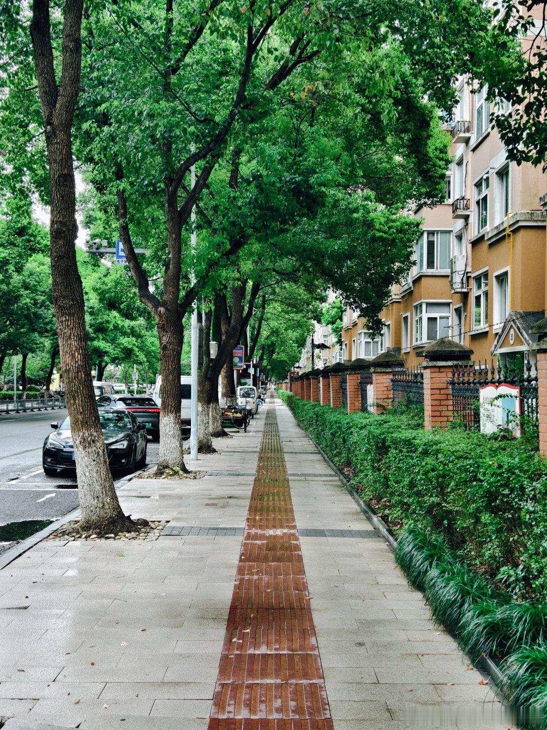 南方的雨天 