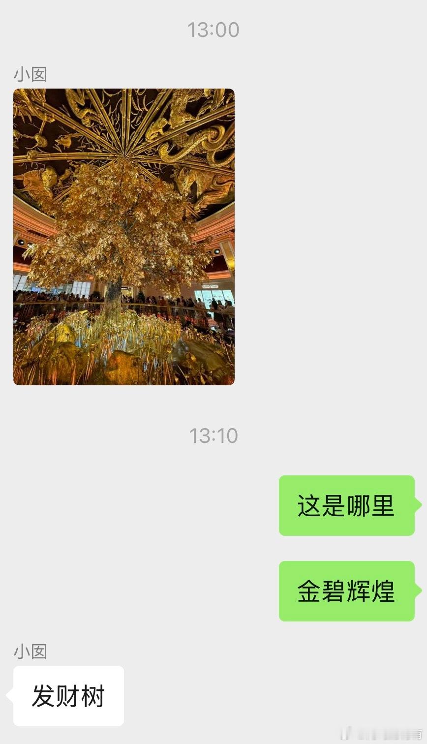 小孩读夏校，趁着周末去澳门转转，这么多天，唯一一次主动发来的照片，发财树见者都发
