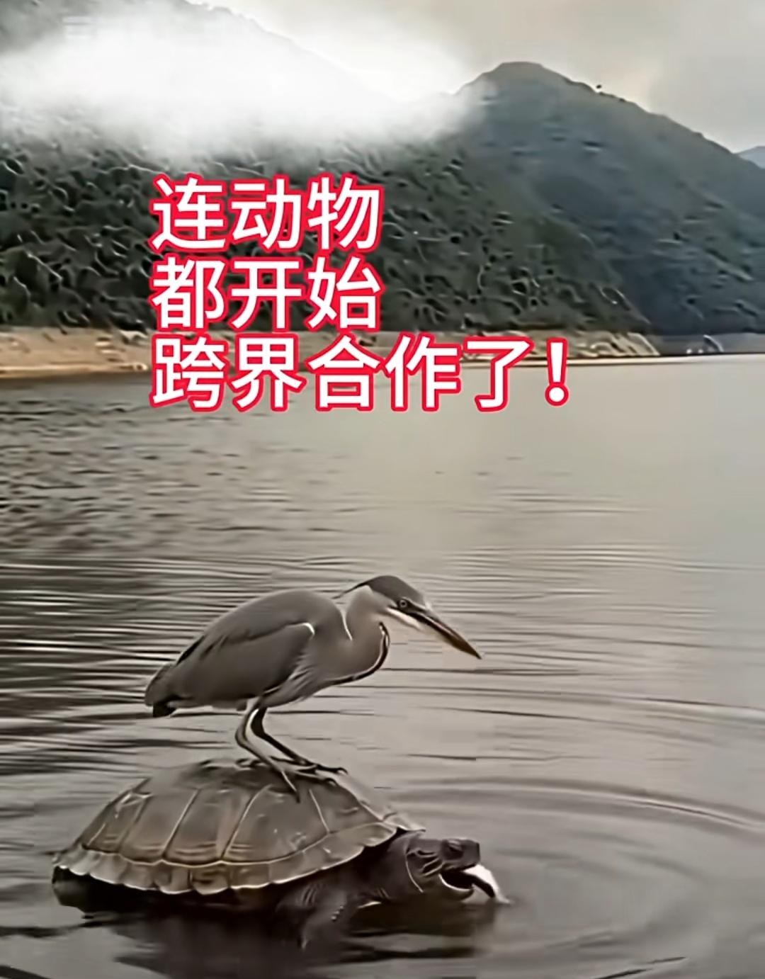 美伊均已发声，双方即将达成和平协议。目前尚不清楚协议文本实际内容，但有一点可以肯