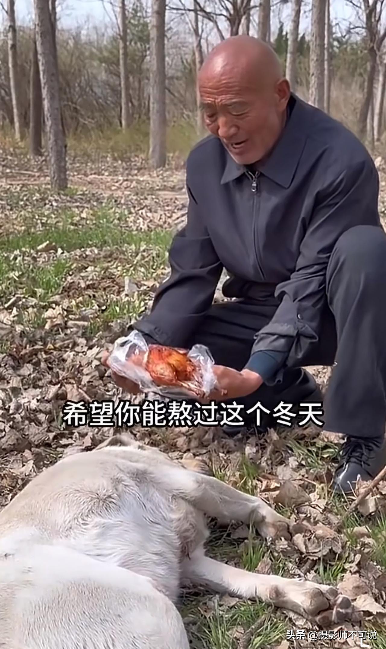 总有老艺术家用手搓对抗Ai，老年真人版《雪山救狐狸》太有意思了！这些天相信大家都