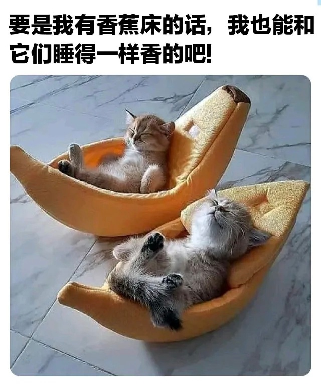 摇啊摇 ​​​