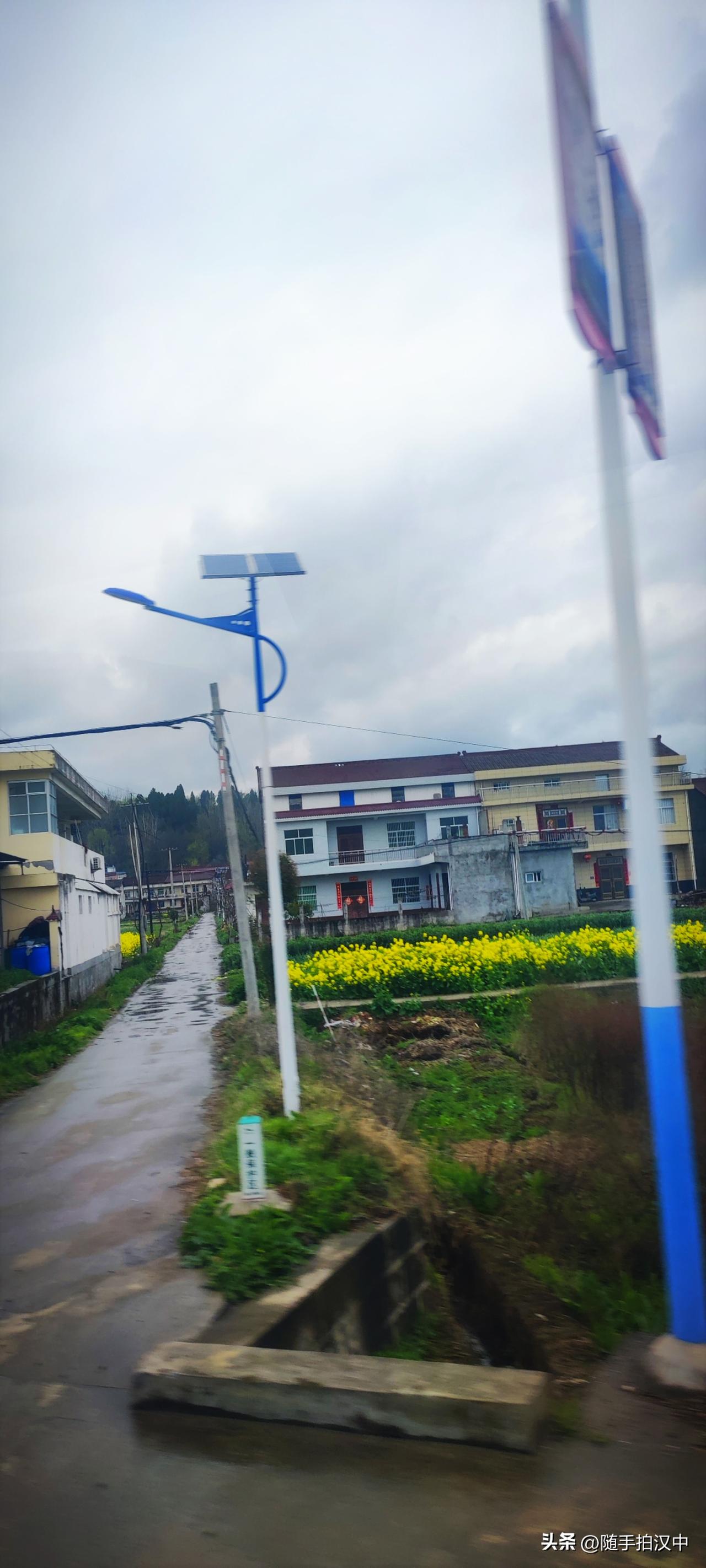 如今的乡村公路是很方便的，水泥马路已经铺到家门口，一根根的路灯延伸到院门口。走在