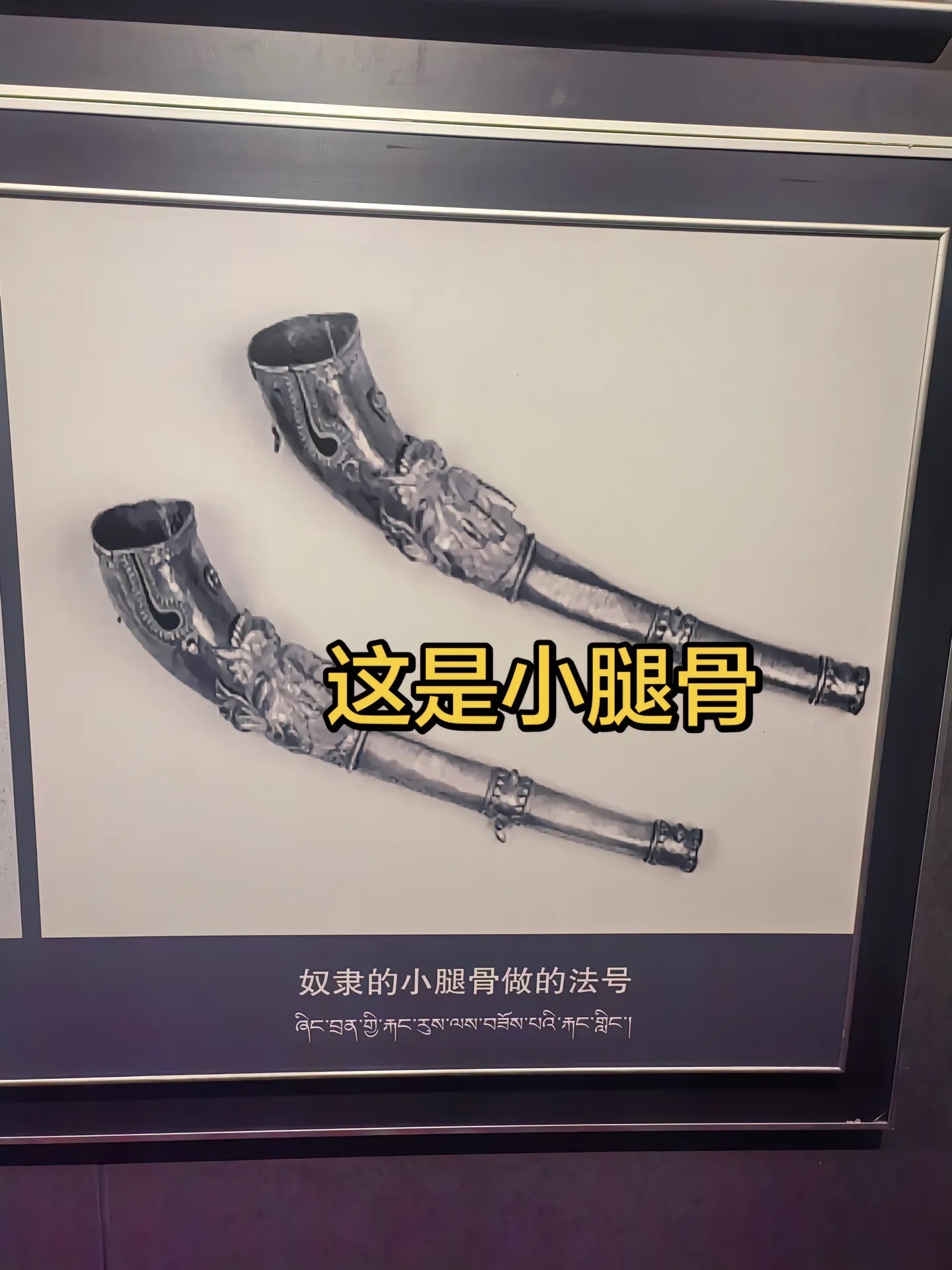 阿姐鼓，肉莲花，都是少女的命，看了这些才明白，为什么初三语文书解放西藏会放在第一