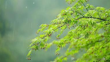 正月初七下雨，有啥说法？
 
正月初七是“人日子”，老辈人最看重这天的天气。
 