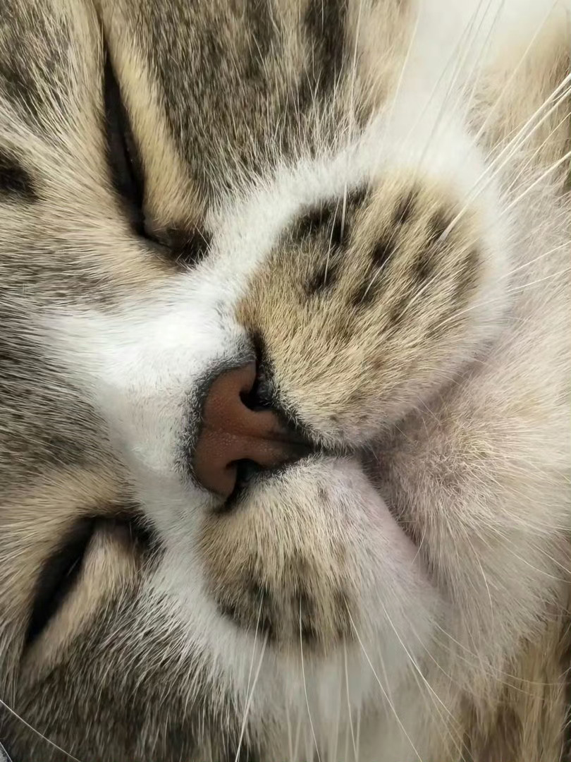 洗漱完再看压轴的剑来