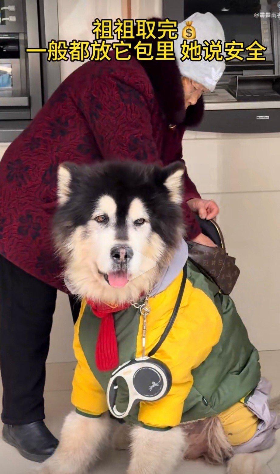 这个神态怎么和最近的某一个非常有名的图片的神态一模一样呀？