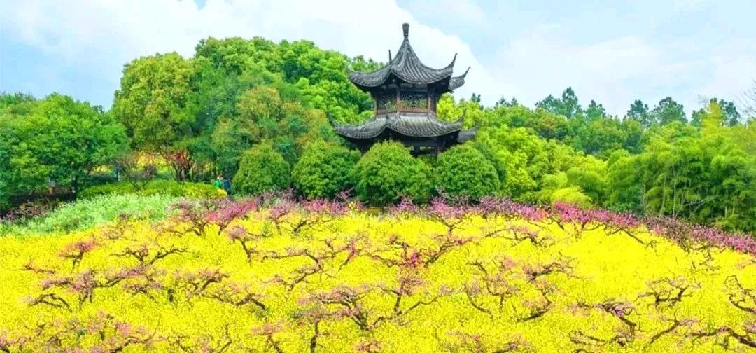 春日生活打卡季