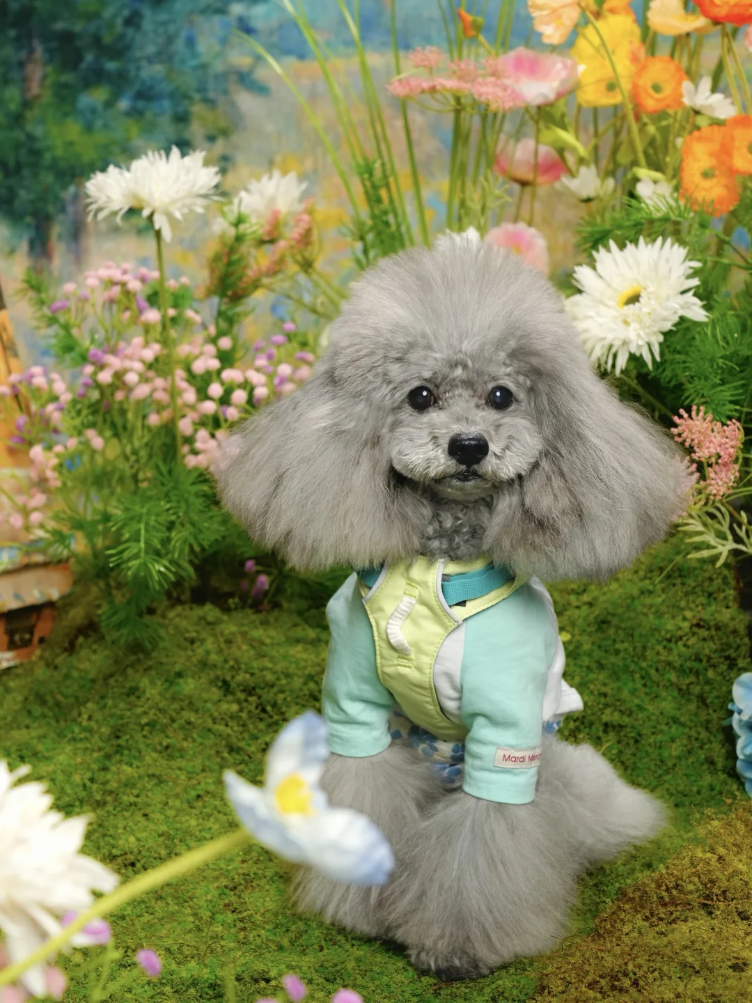 深宠展最值的羊毛是拍照