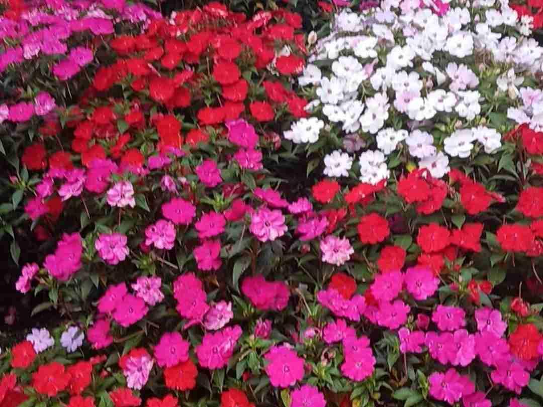 期待暴富[祈祷]
带定位晒今日生活
我的今日状态：💰期待暴富
我这里的天气：☀