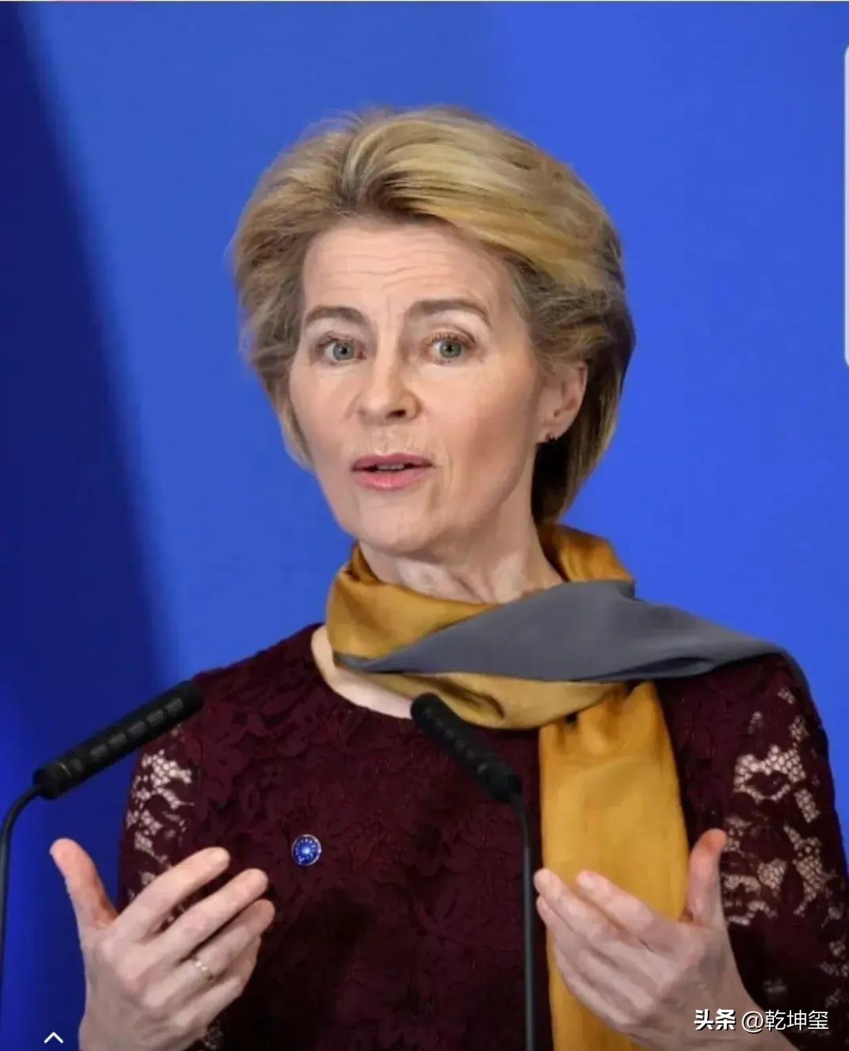 欧盟在颠倒黑白？
    欧盟不提美以两国对伊朗高层的团灭，不论醋从哪里酸，盐从