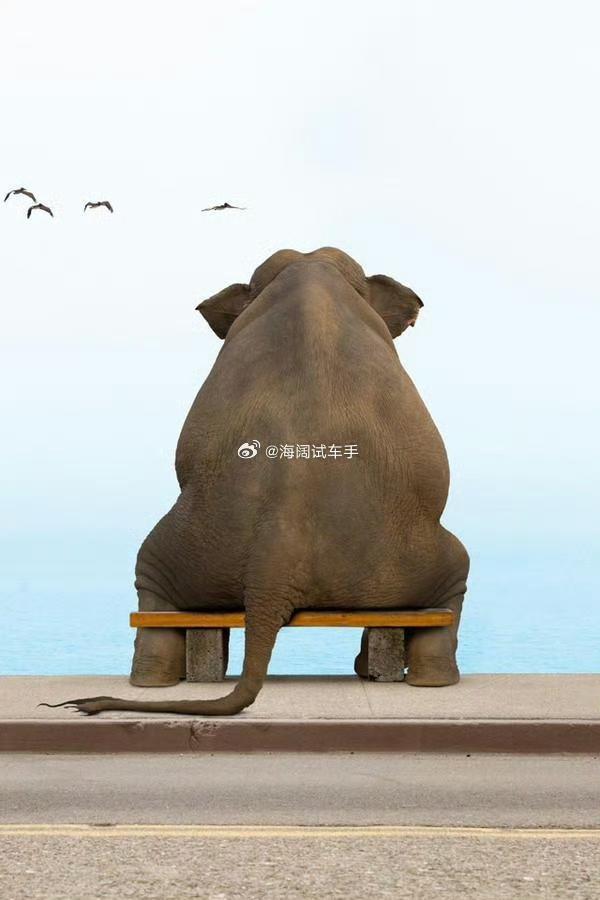 三月份乘用车下滑15%，新能源汽车销量下滑21%，四月份呢？？？