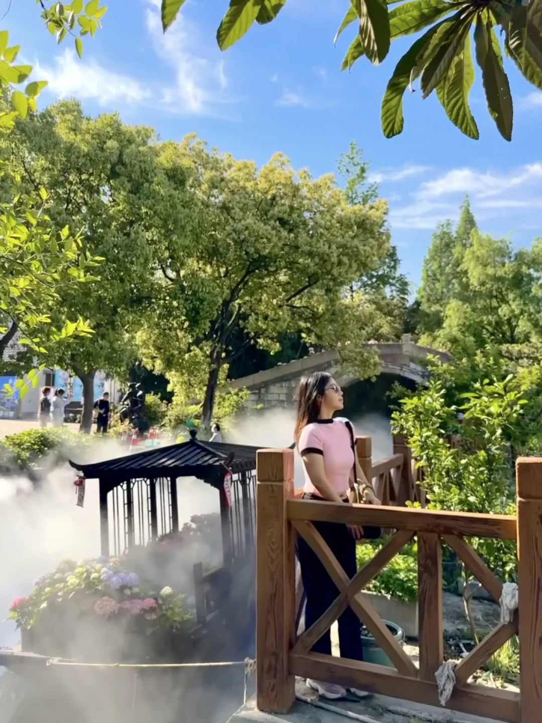 上海乡村绣球花的浪漫💕已超100000%❗️