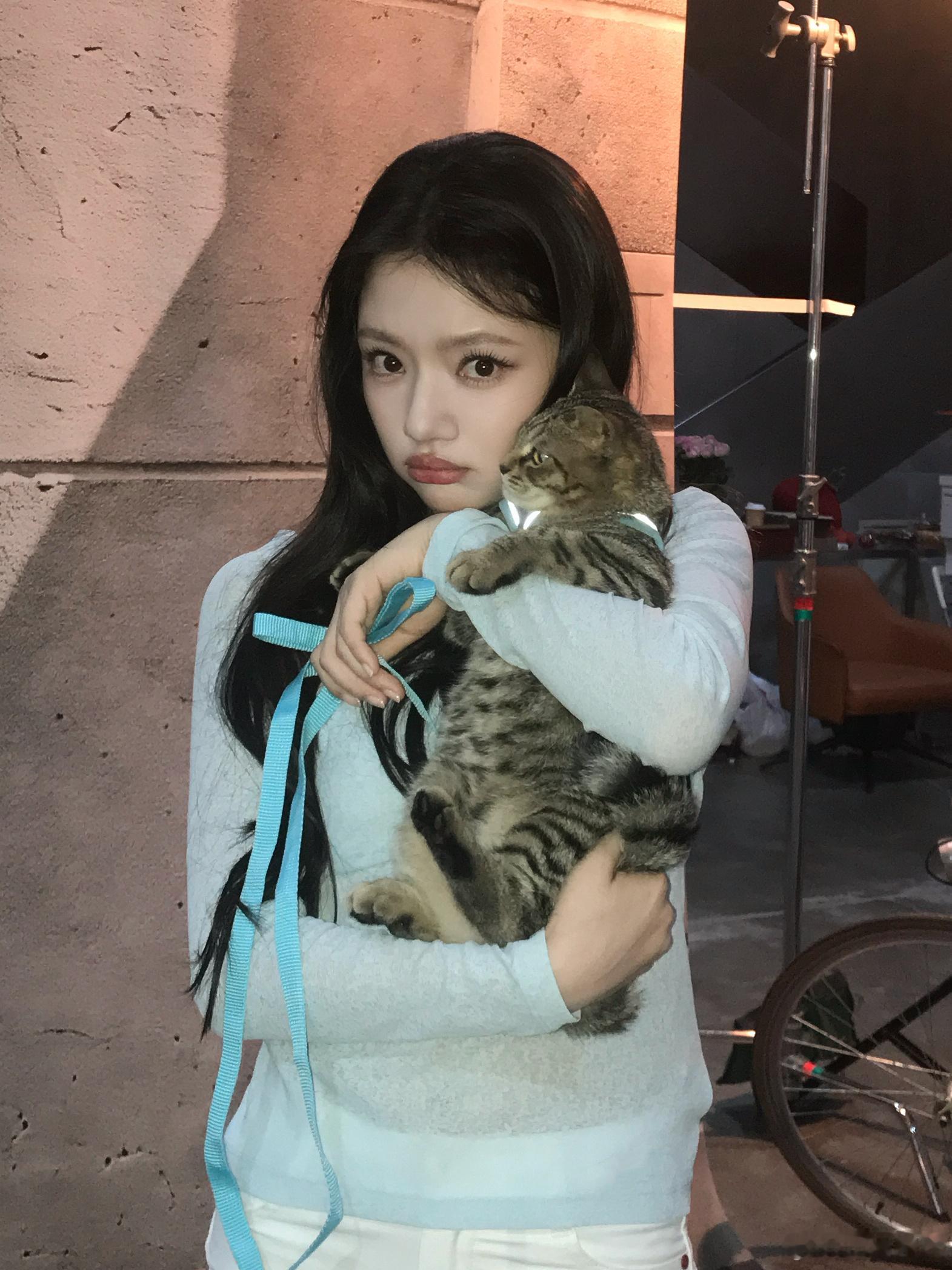 任敏和捡来的小猫贴贴任敏的猫是海拉尔捡的 哇塞，这次任敏的猫是海拉尔捡的，看到和
