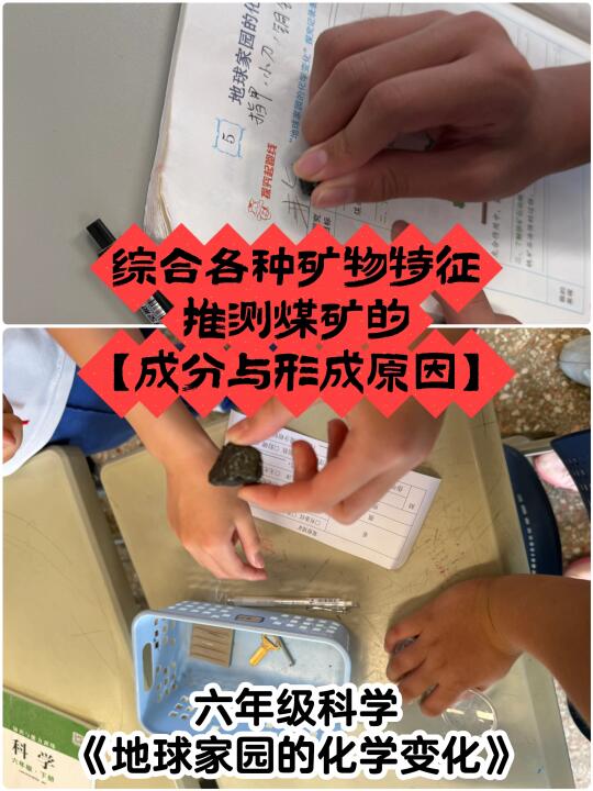 一直反复“碳碳碳”，马上就要【碳循环】了！