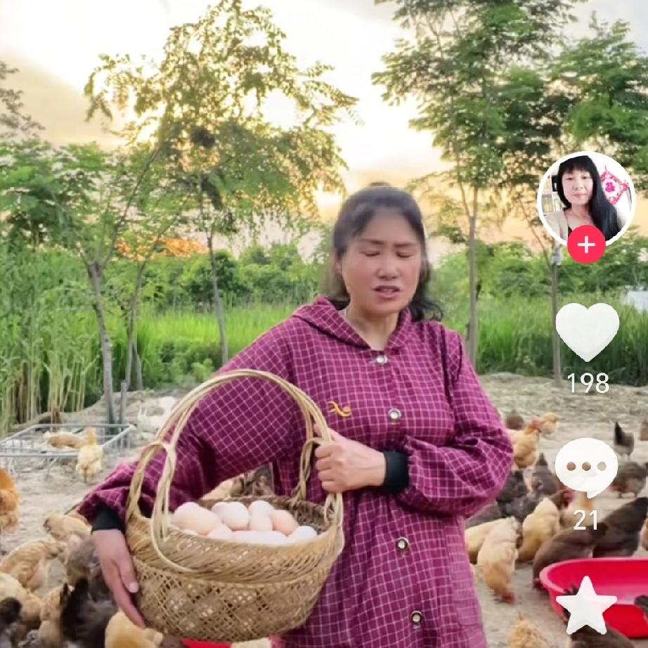 江苏盐城有个大姐养鸭子，最近遇到了件糟心事！20多只鸭子趁着没人溜进仓库里，偷偷