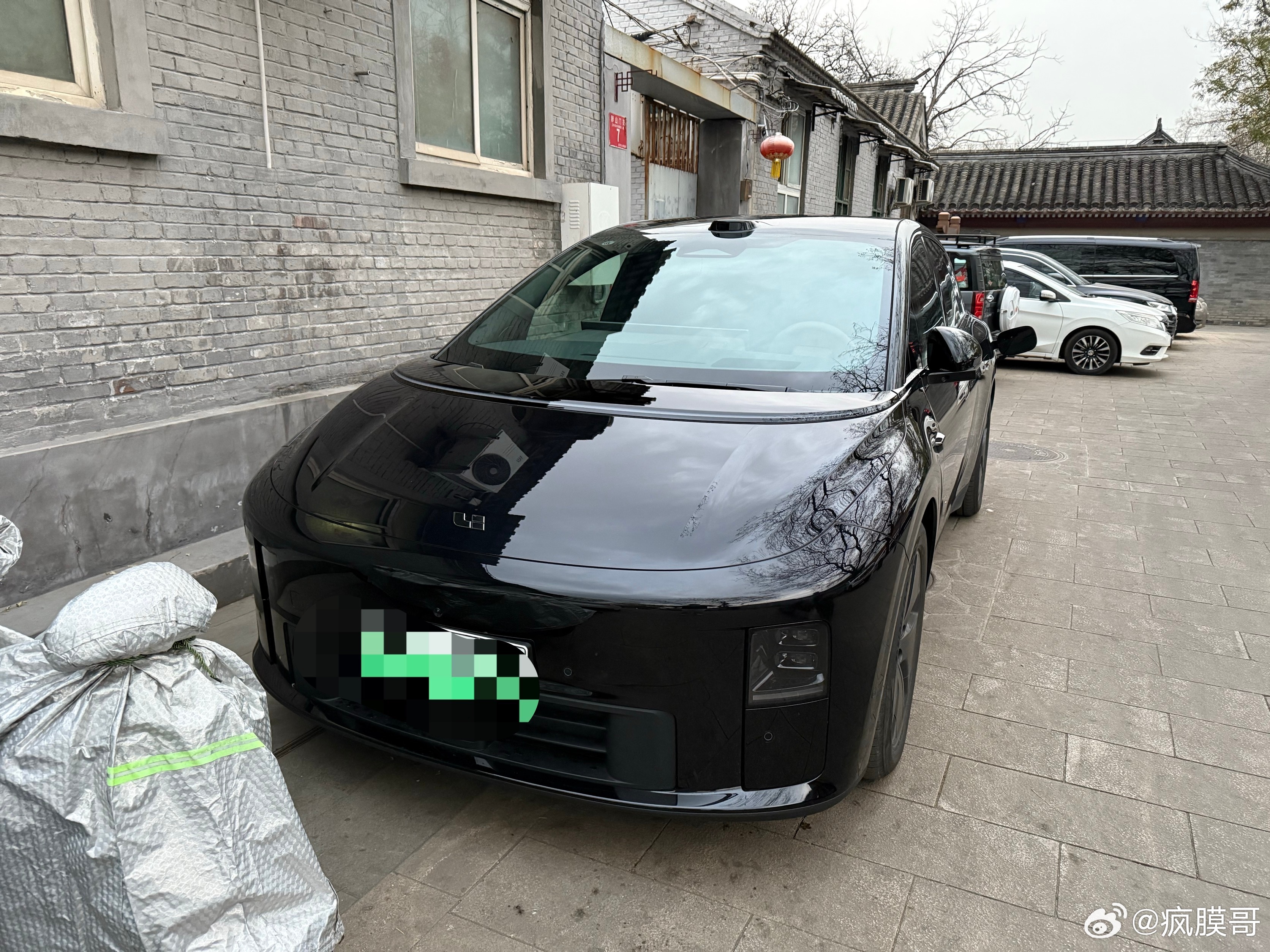 来了个大黑耗子