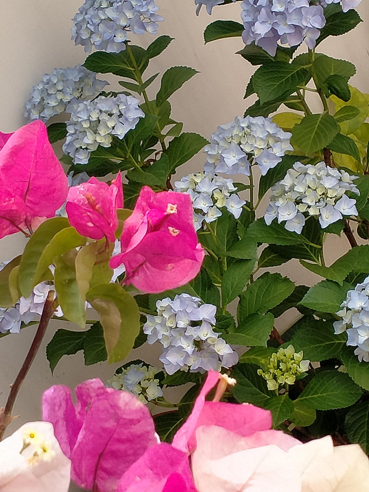 平淡日子也有小确幸呢💖