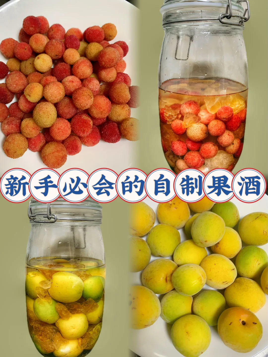 别人家喝了一次忘不了❗️巨简单家庭自制果酒