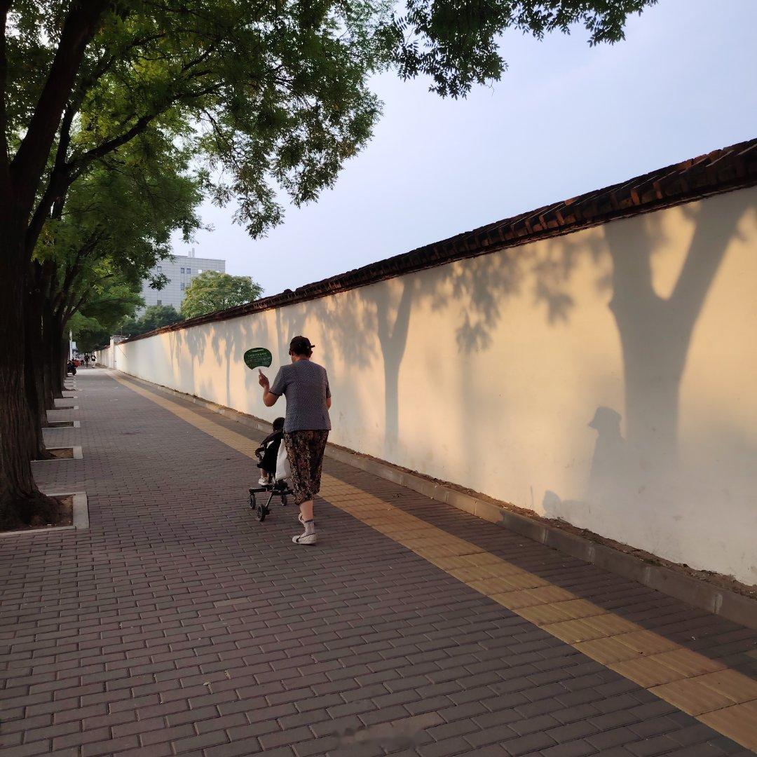 街头，周五，7月3日，最高37℃ 
