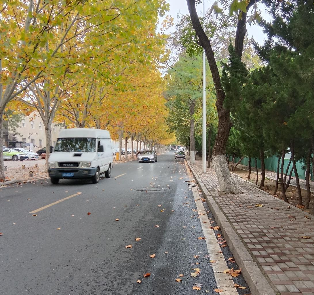 人与人之间最好的状态，是河流的两岸

清晨散步时，我常看到两位老人在河边长椅上静