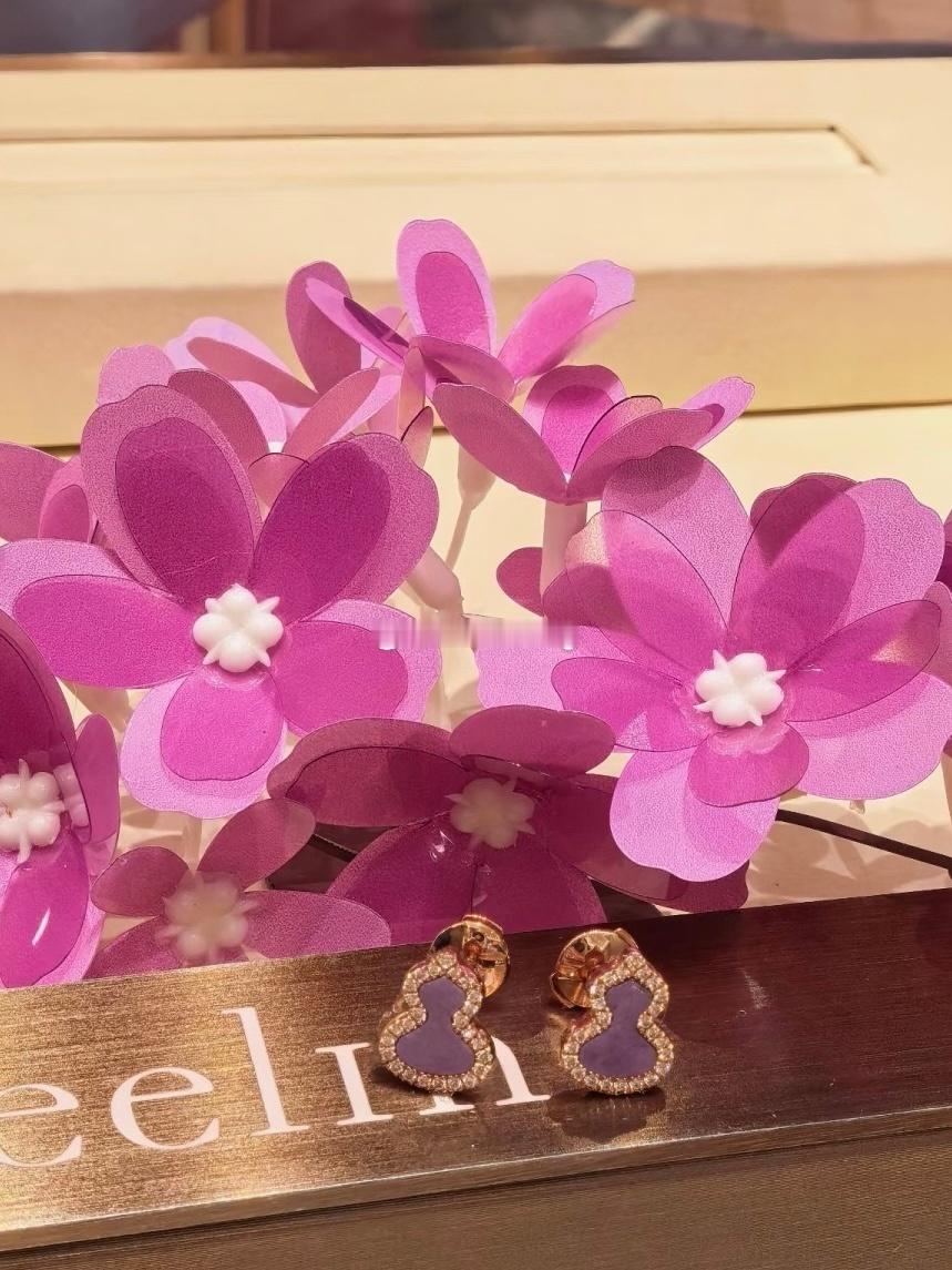 九紫离火运～💜葫芦紫色系 ​​​