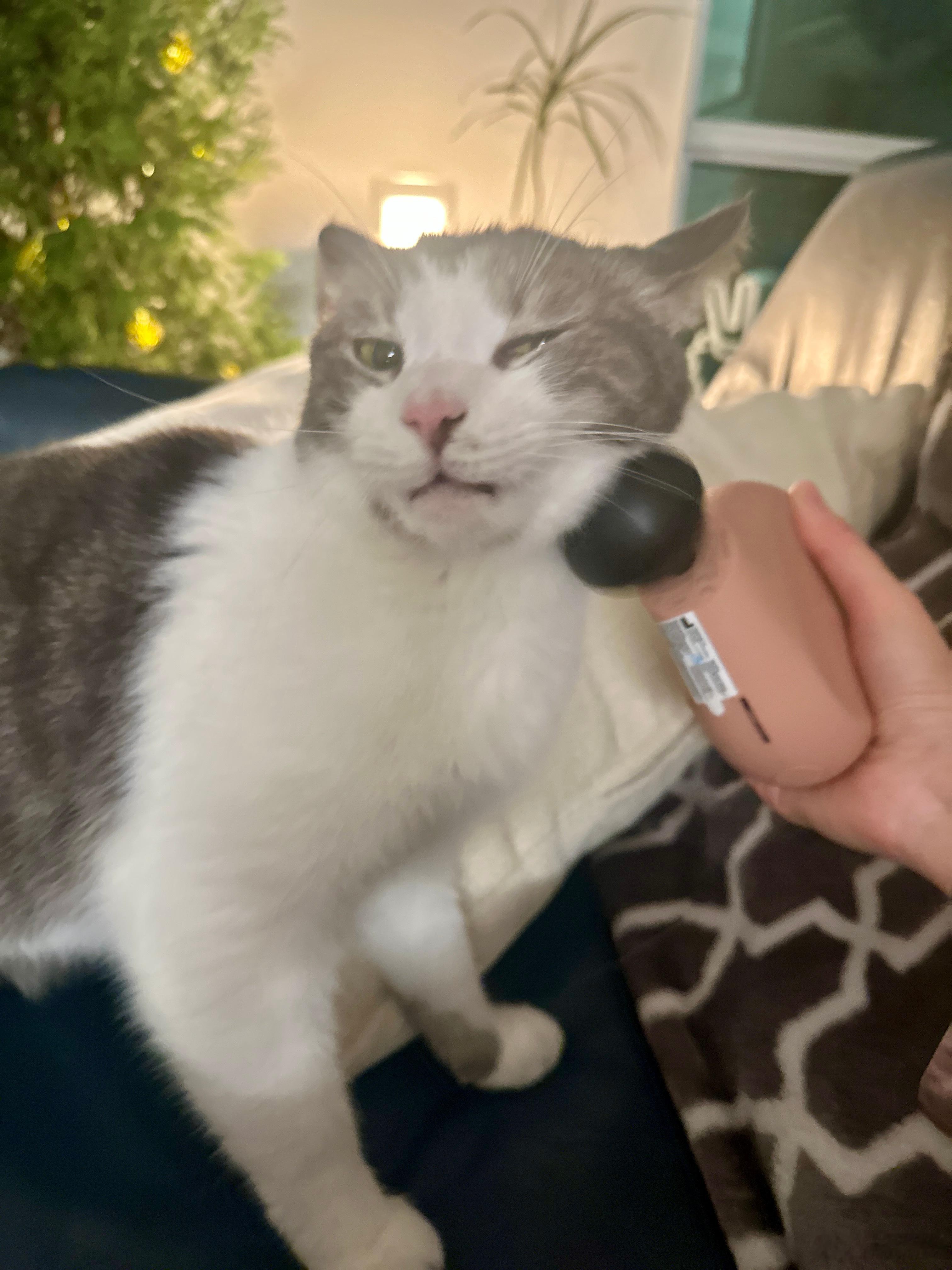 新年快乐🥳2026年都照顾好自己！！！ 美国