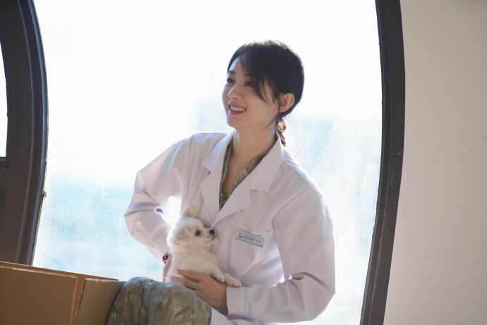 沈医生和小汪赵丽颖