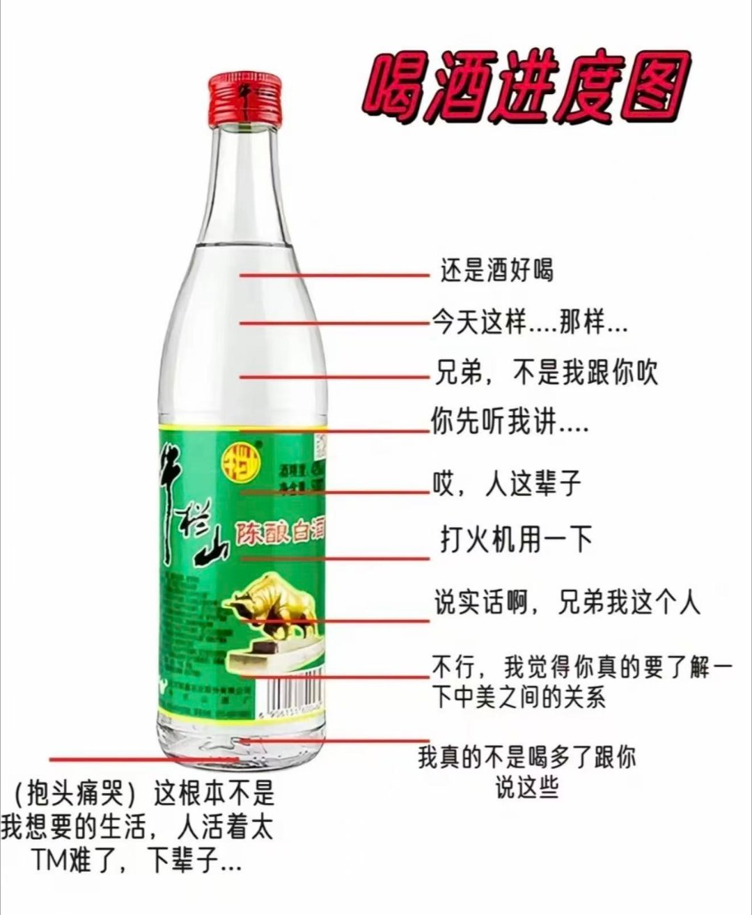 刘翔再发文征求广大网友意见有很多问题都要自己解决，别人很难给你出决定性的意见 ​
