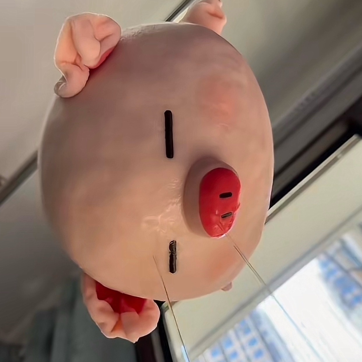 🐔制是什么(੭ •_•)❓ 