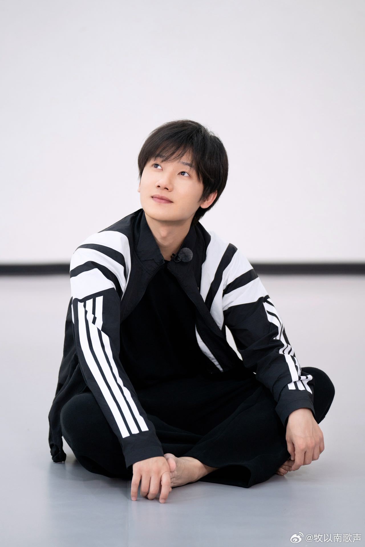 蒋敦豪三狗新组合名叫狗墩子蒋敦豪三狗新组合名叫狗墩子 起名鬼才李飞上线！蒋敦豪被